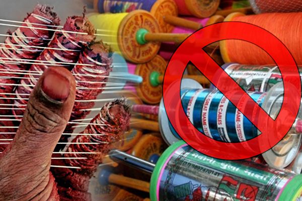 Banned Kite Manja Kills One and Injures Many Birds