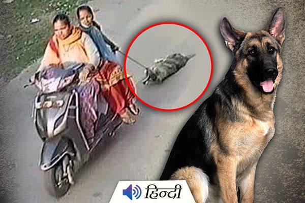 Two Women Drag Dog Behind Two-Wheeler