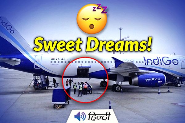 IndiGo Staff Falls Asleep in Cargo Compartment of Flight