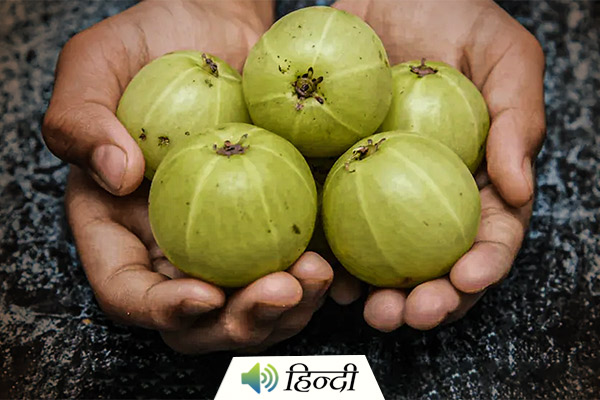 Health Benefits of Amla or Indian Gooseberry