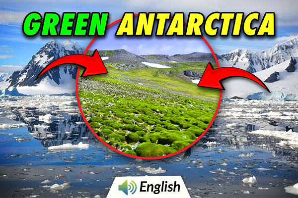 Shocking: Antarctica Is Turning Green at a High Speed!